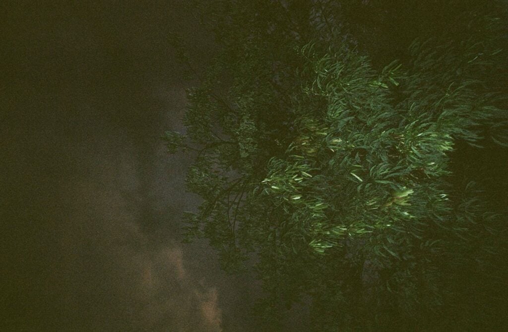 Caroline Ruffault Photographe