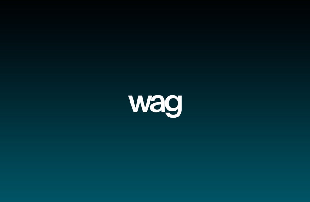 Wag Architecture - WeAreBlow