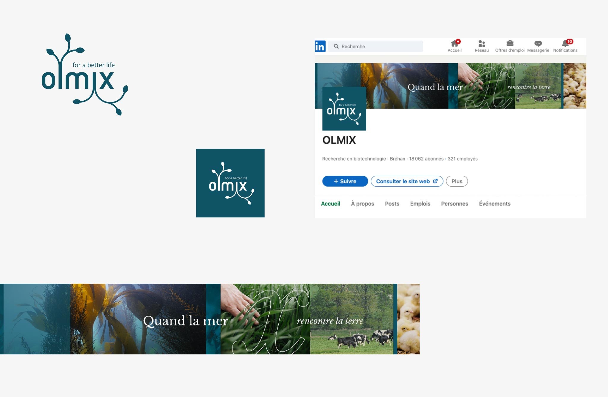 Olmix Group