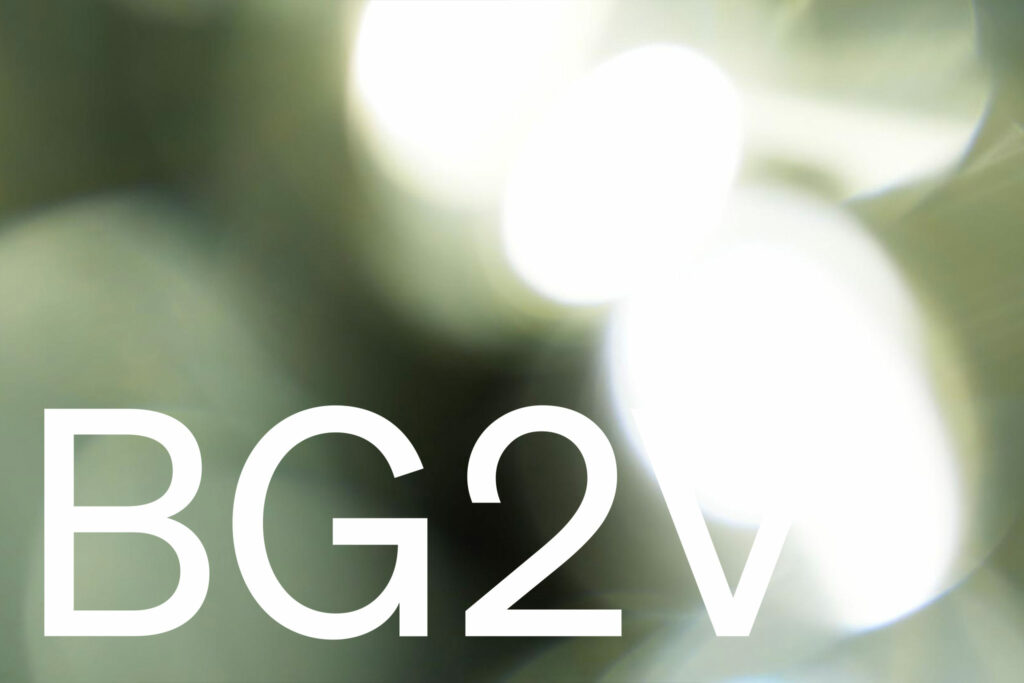 logo-bg2v-line