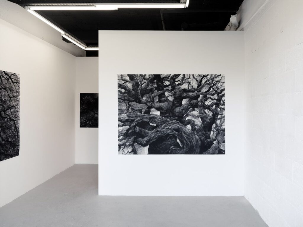 Drama Galerie - Rennes - 2023